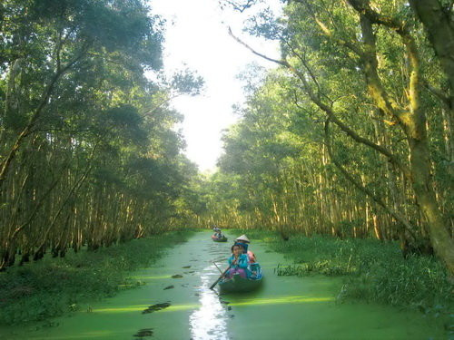 Hai Hồ Văn Cường, hai miền ký ức: Từ sông nước Đồng Tháp đến gió Lào Nghệ An Ảnh 3