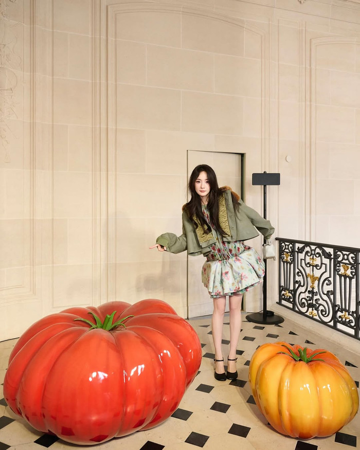 Dương Mịch hiện vẫn độc thân sau khi ly hôn với Lưu Khải Uy. Cô dành nhiều thời gian cho công việc. Ảnh: IGNV