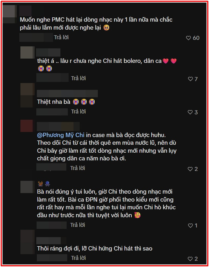 Khán giả tiếc nuối trước quyết định dừng lại của Phương Mỹ Chi Ảnh 2