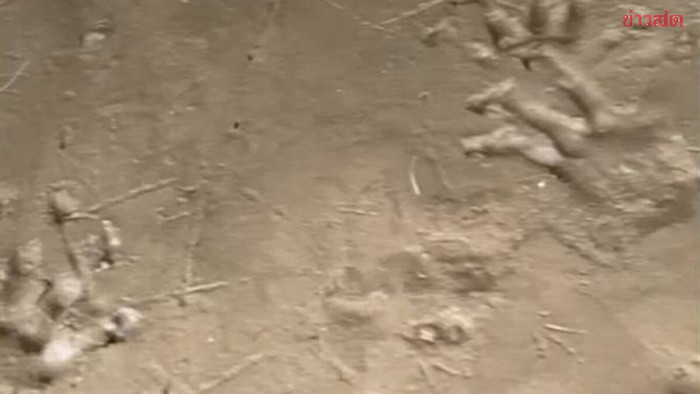 Phát hiện nhiều dấu chân bí ẩn trên bờ sông, người dân lo lắng Ảnh 2