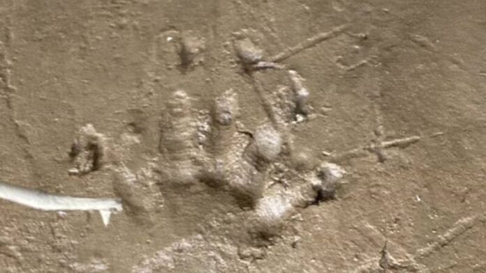 Phát hiện nhiều dấu chân bí ẩn trên bờ sông, người dân lo lắng Ảnh 1