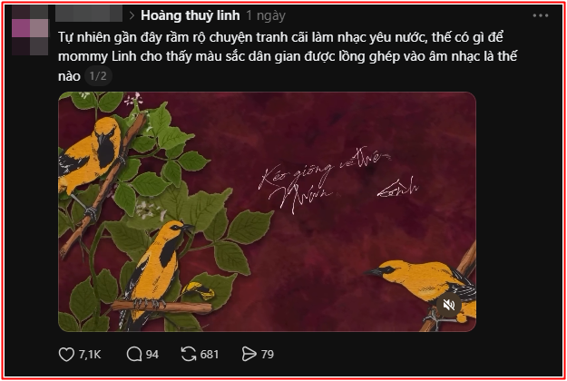 Mạng xã hội 'dậy sóng' với Hoàng Thùy Linh Ảnh 6