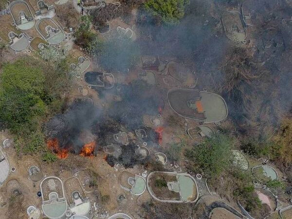 Đốt cỏ khi đi tảo mộ, người đàn ông gây cháy cả sườn núi Ảnh 1