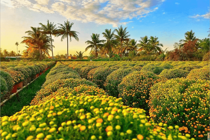 Đồng Tháp - quê Hồ Văn Cường: Điểm đến không ồn ào nhưng khiến người ta muốn quay lại Ảnh 5