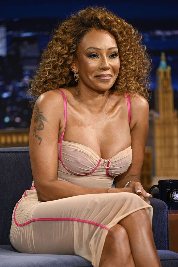 Mel B phủ nhận tour tái hợp của Spice Girls Ảnh 3