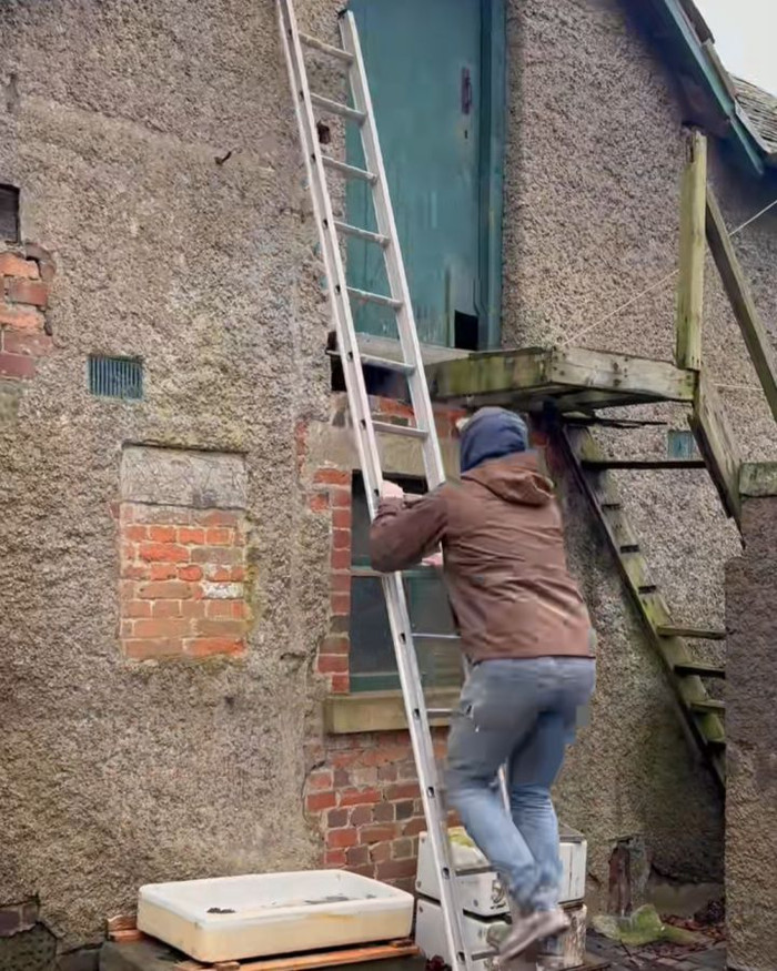 Cải tạo nhà cũ, cặp vợ chồng tá hỏa khi mở thùng gỗ giấu trên gác mái Ảnh 1