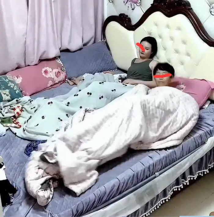 Mẹ vợ vào ngủ cùng phòng với con gái và con rể, lý do gây bức xúc Ảnh 3