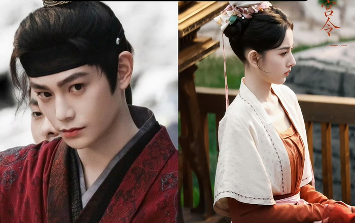 Tư Cung Lệnh mang đến màu sắc mới khi khai thác ẩm thực cung đình thời Bắc Tống. Nhân vật nữ chính là một nữ quan phải đối mặt với nhiều thử thách nơi hoàng cung, đồng thời phát triển chuyện tình cảm với nam chính. Sự góp mặt của Đinh Vũ Hề và Tống Tổ Nhi là điểm nhấn đáng chú ý.