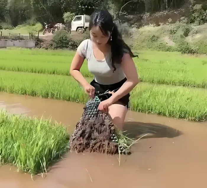 Đi xem mắt tại ruộng lúa, cô gái xinh đẹp nói một câu khiến chàng trai 'đứng hình' Ảnh 3