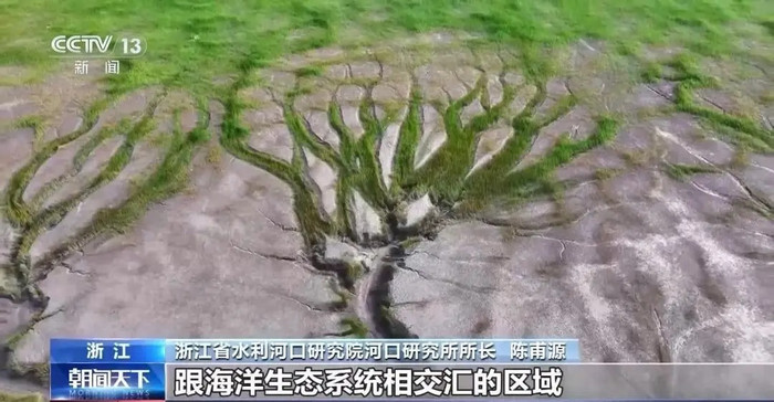 Mặt sông xảy ra hiện tượng hiếm gặp, dân mạng sửng sốt Ảnh 3