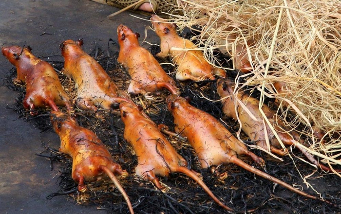 Ở quê Hòa Minzy có một món ăn vừa nghe tên nhiều người đã lắc đầu, nhưng dân địa phương lại coi là đặc sản Ảnh 4