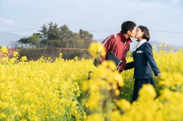 Top 6 phim Hàn nổi tiếng nhất thế giới năm 2026 Ảnh 2