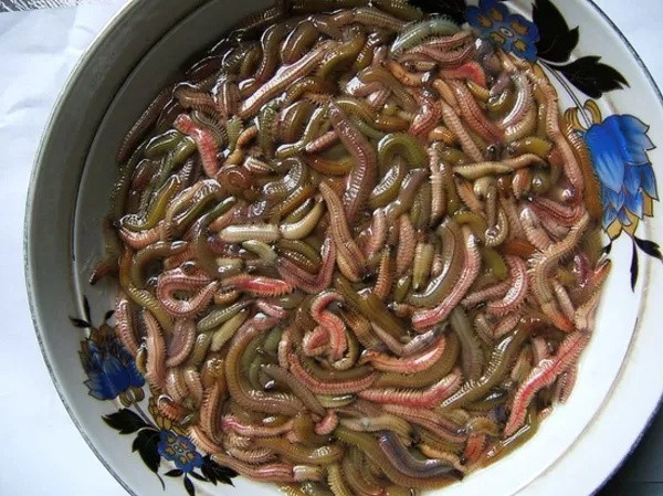 Những món ngon ở Ninh Bình quê Phương Oanh phải ăn đúng mùa, bỏ lỡ phải chờ cả năm Ảnh 4