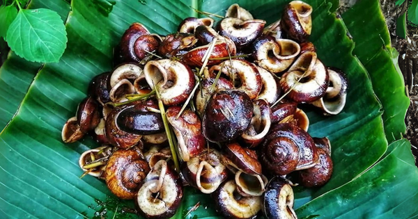 Những món ngon ở Ninh Bình quê Phương Oanh phải ăn đúng mùa, bỏ lỡ phải chờ cả năm Ảnh 2