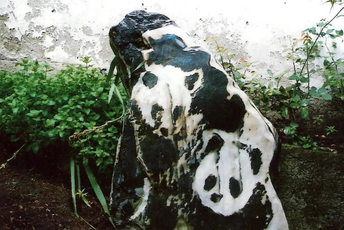 Đi biển cùng gia đình, người đàn ông nhặt được viên đá cực quý giá hơn 500 tỷ đồng Ảnh 2