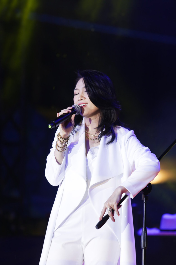 Lựa chọn dừng lại gây tiếc nuối của Mỹ Tâm Ảnh 4