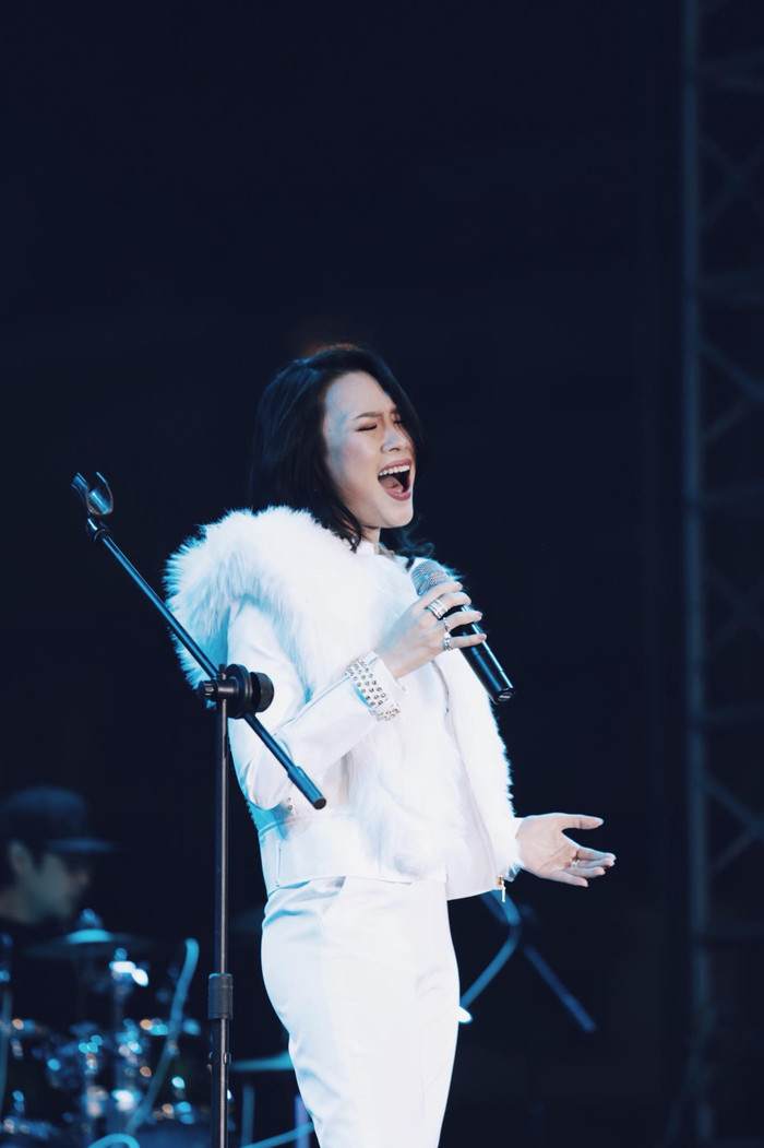 Lựa chọn dừng lại gây tiếc nuối của Mỹ Tâm Ảnh 5