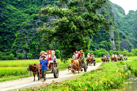 Nét đẹp thôn quê ở Ninh Bình.