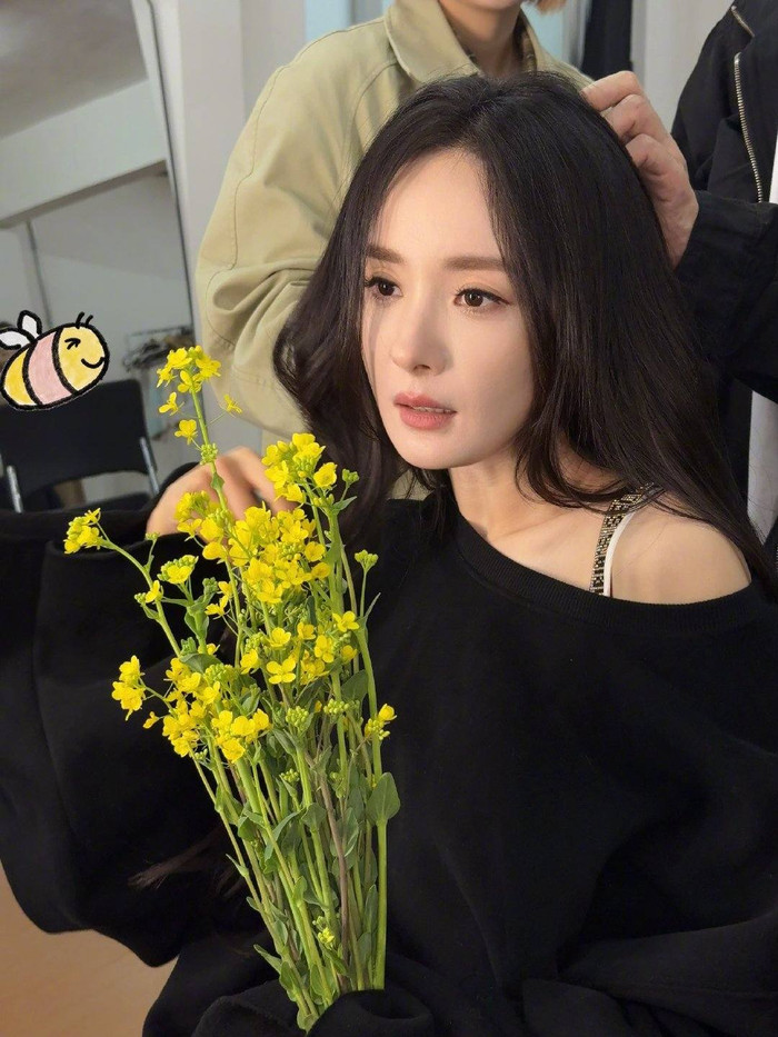 Dương Mịch lựa chọn giữ im lặng khi gặp những tin đồn xoay quanh đời tư. Ảnh: FBNV