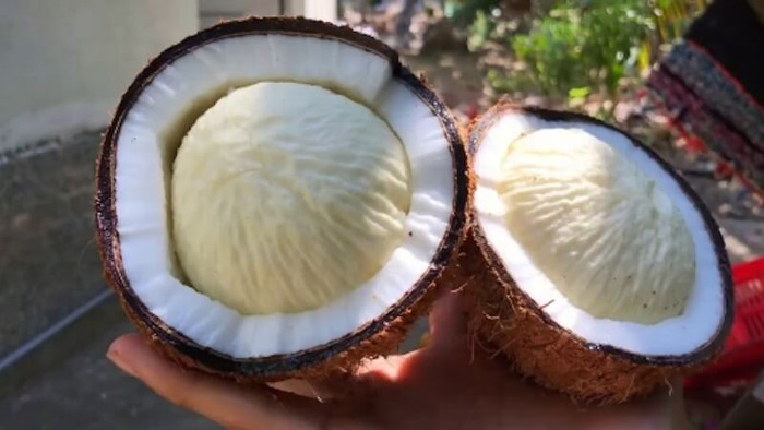 3 bộ phận của quả dừa thường bị bỏ phí, hóa ra dùng được đủ cách Ảnh 3
