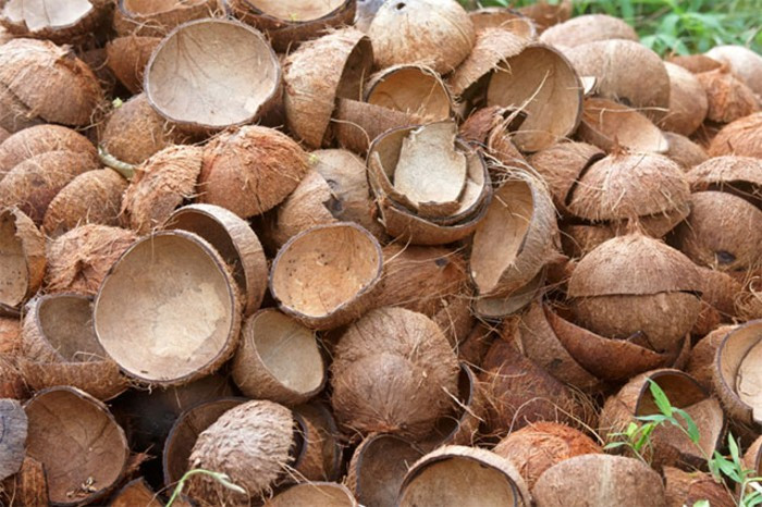 3 bộ phận của quả dừa thường bị bỏ phí, hóa ra dùng được đủ cách Ảnh 2