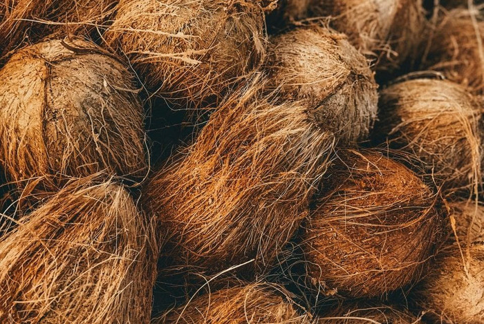 3 bộ phận của quả dừa thường bị bỏ phí, hóa ra dùng được đủ cách Ảnh 1