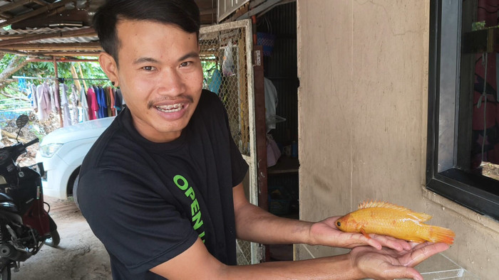 Người đàn ông bắt được con cá rô phi màu vàng cam cực hiếm, dân làng nô nức đến xem Ảnh 1