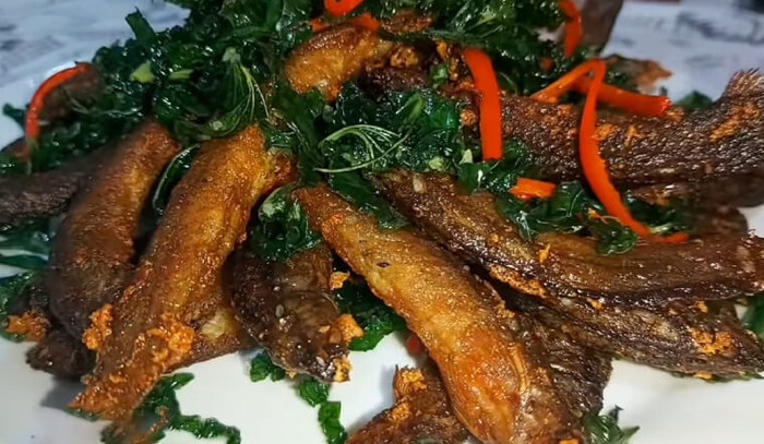 Những món ngon từ cá chạch lấu.