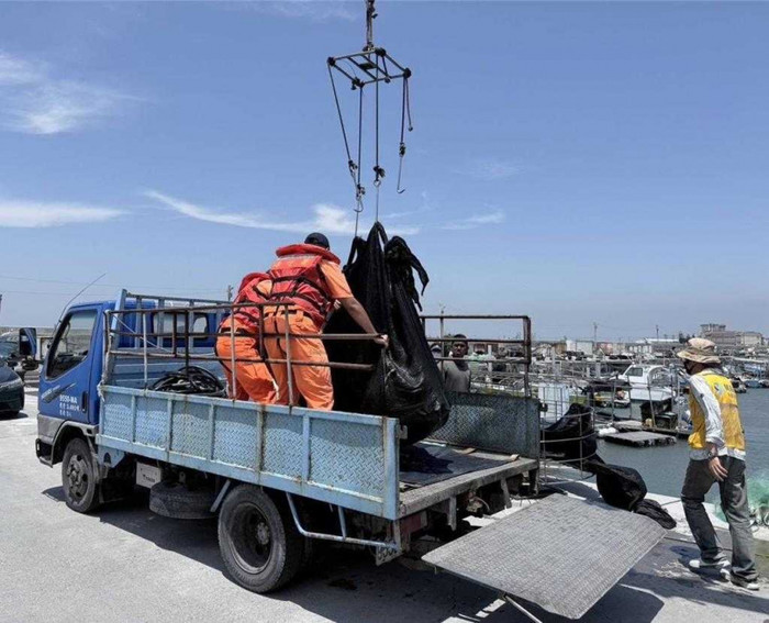 Sinh vật khổng lồ nặng 200kg xuất hiện ngoài khơi, ngư dân xôn xao Ảnh 2