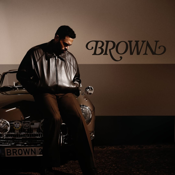Căng cực: Chris Brown đáp trả Pitchfork, 'réo tên' Zara Larsson vào tranh cãi Ảnh 1