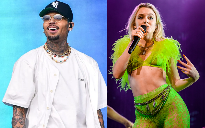 Căng cực: Chris Brown đáp trả Pitchfork, 'réo tên' Zara Larsson vào tranh cãi Ảnh 2