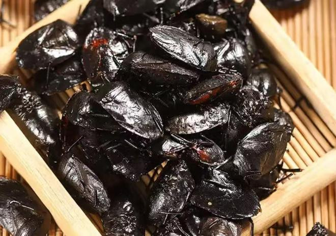 Du khách leo núi ám ảnh trước sự xuất hiện của một loài côn trùng, mùi hôi nồng nặc Ảnh 4