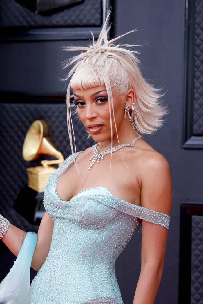 Doja Cat muốn tạm dừng sự nghiệp âm nhạc Ảnh 2