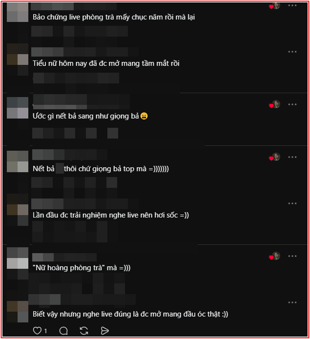 Mạng xã hội 'dậy sóng' với ca sĩ Lệ Quyên Ảnh 4