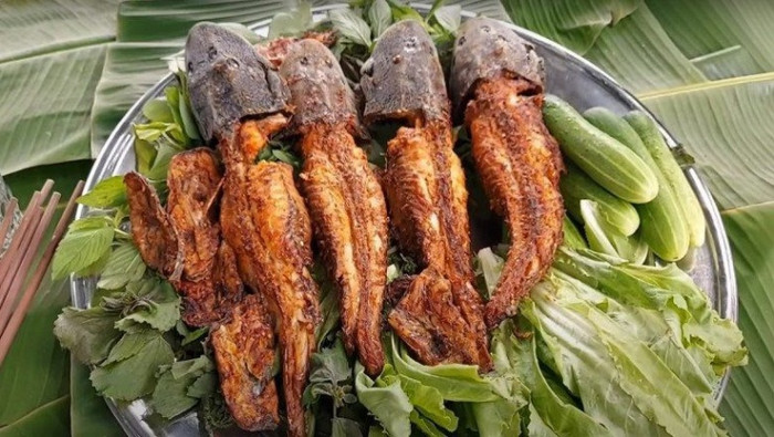(Ảnh minh họa từ Internet)
