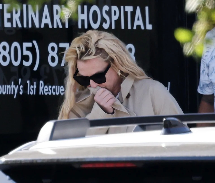 Britney Spears xuất hiện tại cửa hàng thú cưng giữa lúc vướng tin đồn mất kiểm soát Ảnh 1