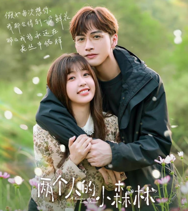 10 phim Hoa ngữ motif yêu thầm càng xem càng rung động Ảnh 3