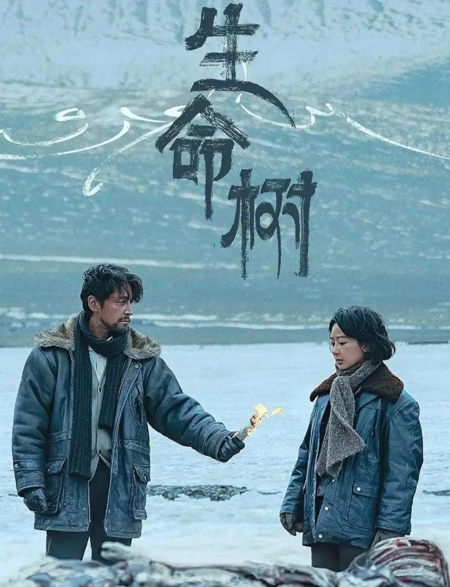 BXH phim truyền hình Trung Quốc hot nhất năm 2026: Thái Bình Niên dẫn đầu với 8,4 điểm Douban Ảnh 9