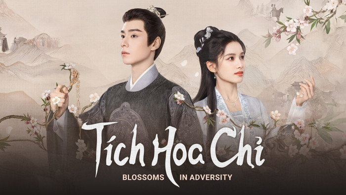 Tích Hoa Chỉ gây bất ngờ khi trở thành hiện tượng nhờ mô-típ nữ chủ lập nghiệp giữa bối cảnh cổ trang. Sau biến cố khiến toàn bộ nam nhân trong gia tộc bị lưu đày, Hoa Chỉ buộc phải đứng ra gánh vác gia đình và tìm cách vực dậy Hoa gia. Không đi theo lối tranh đấu hậu cung quen thuộc, bộ phim ghi điểm bởi câu chuyện về sự trưởng thành của nữ chính, tinh thần đoàn kết của các nữ quyến cùng màu sắc điền văn nhẹ nhàng nhưng giàu cảm xúc.