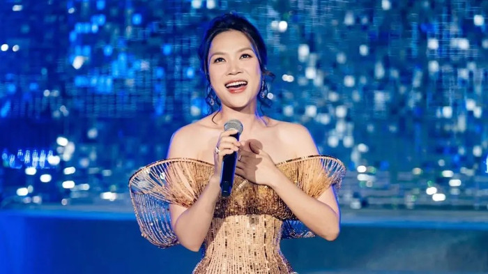 Mỹ Tâm dừng lại hành trình với Mai Tài Phến để đi thêm bước nữa Ảnh 4