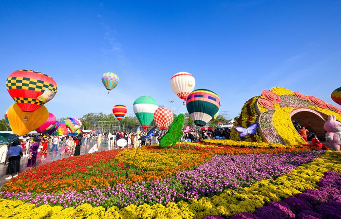Cảnh đẹp làng hoa Sa Đéc.