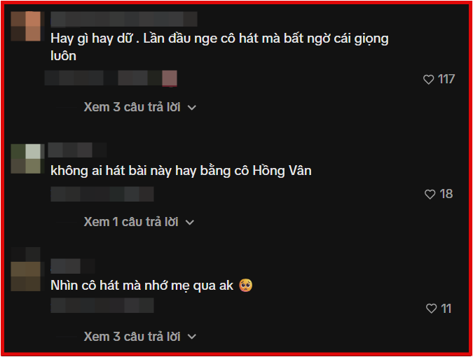 Khán giả 'dậy sóng' với NSND Hồng Vân Ảnh 4