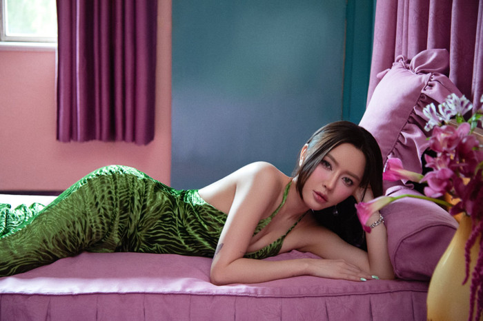 Quyết định dừng lại gây tiếc nuối của Bích Phương Ảnh 8