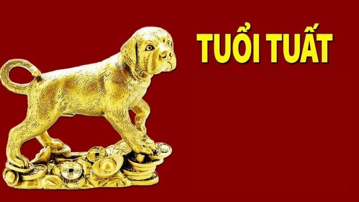 4 con giáp dễ khiến người khác tin tưởng, đi đến đâu cũng có người muốn giúp đỡ Ảnh 4
