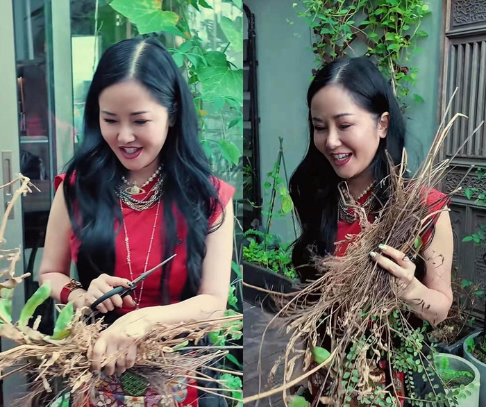 Diva Hồng Nhung yêu thích thiên nhiên, thường xuyên trang trí cho tổ ấm.