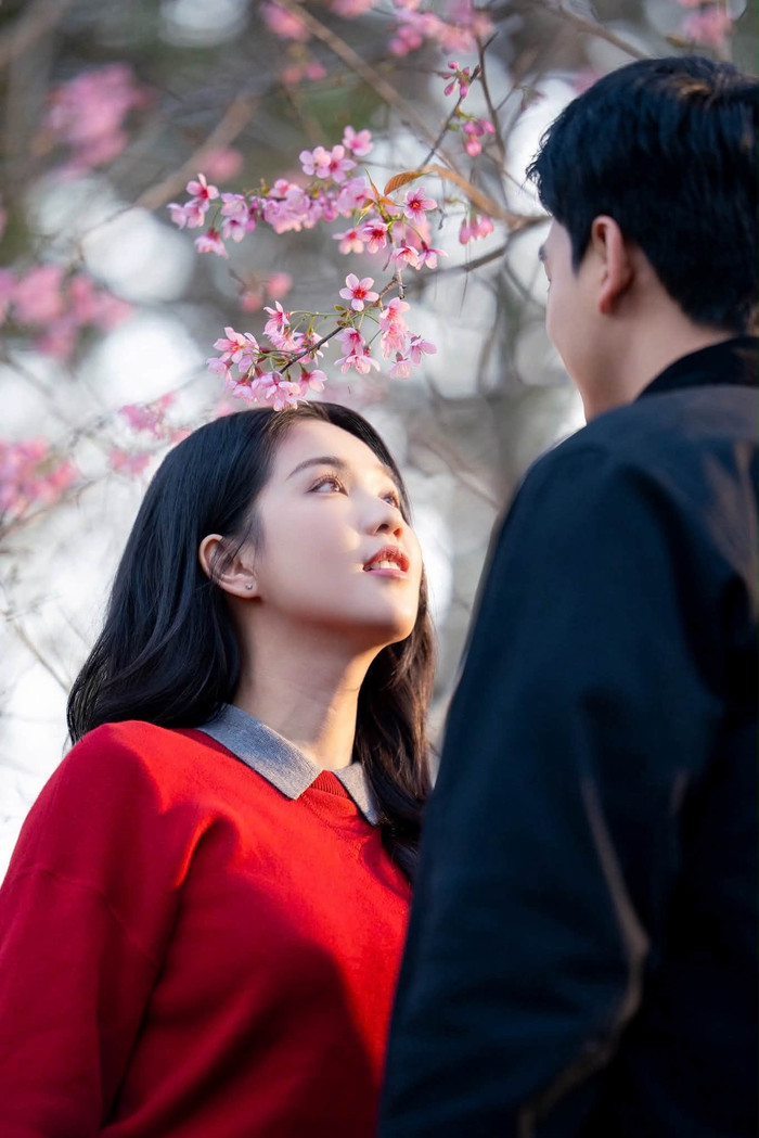 Hành trình của Ngọc Trinh cho thấy sự chuyển mình từ một 'tay ngang' gây tranh cãi sang diễn viên dần được ghi nhận.