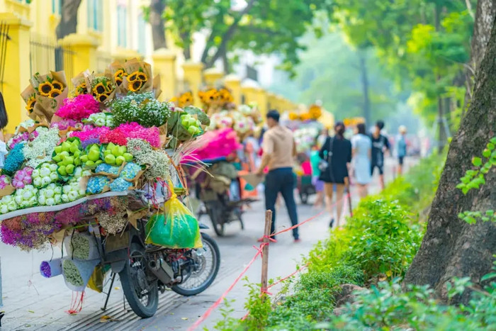 Phố Phan Đình Phùng - con phố lãng mạn bậc nhất Hà Nội.