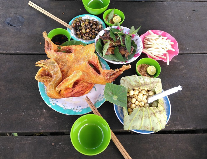 Về quê Hồ Văn Cường, thử ngủ giữa đồng sen Đồng Tháp Mười, cảm giác sẽ ra sao? Ảnh 5