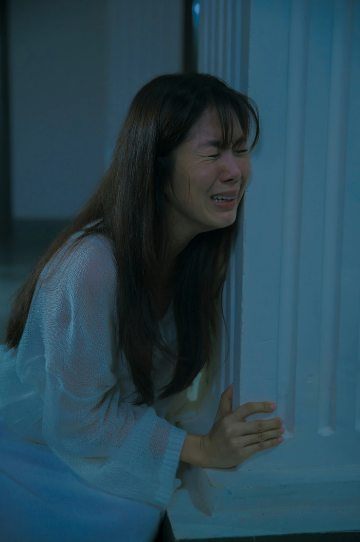 Lê Phương từng góp mặt trong các dự án điện ảnh, thế nhưng kết quả lại không thành công như kỳ vọng.
