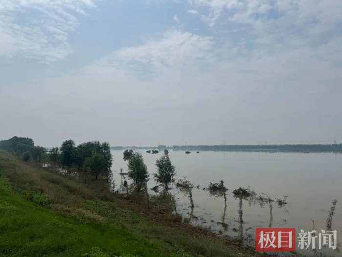 Hàng nghìn con vịt trôi kín mặt sông sau mưa lũ, cảnh tượng khiến nhiều người xót xa Ảnh 3